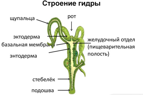 Зеркало кракен дарк